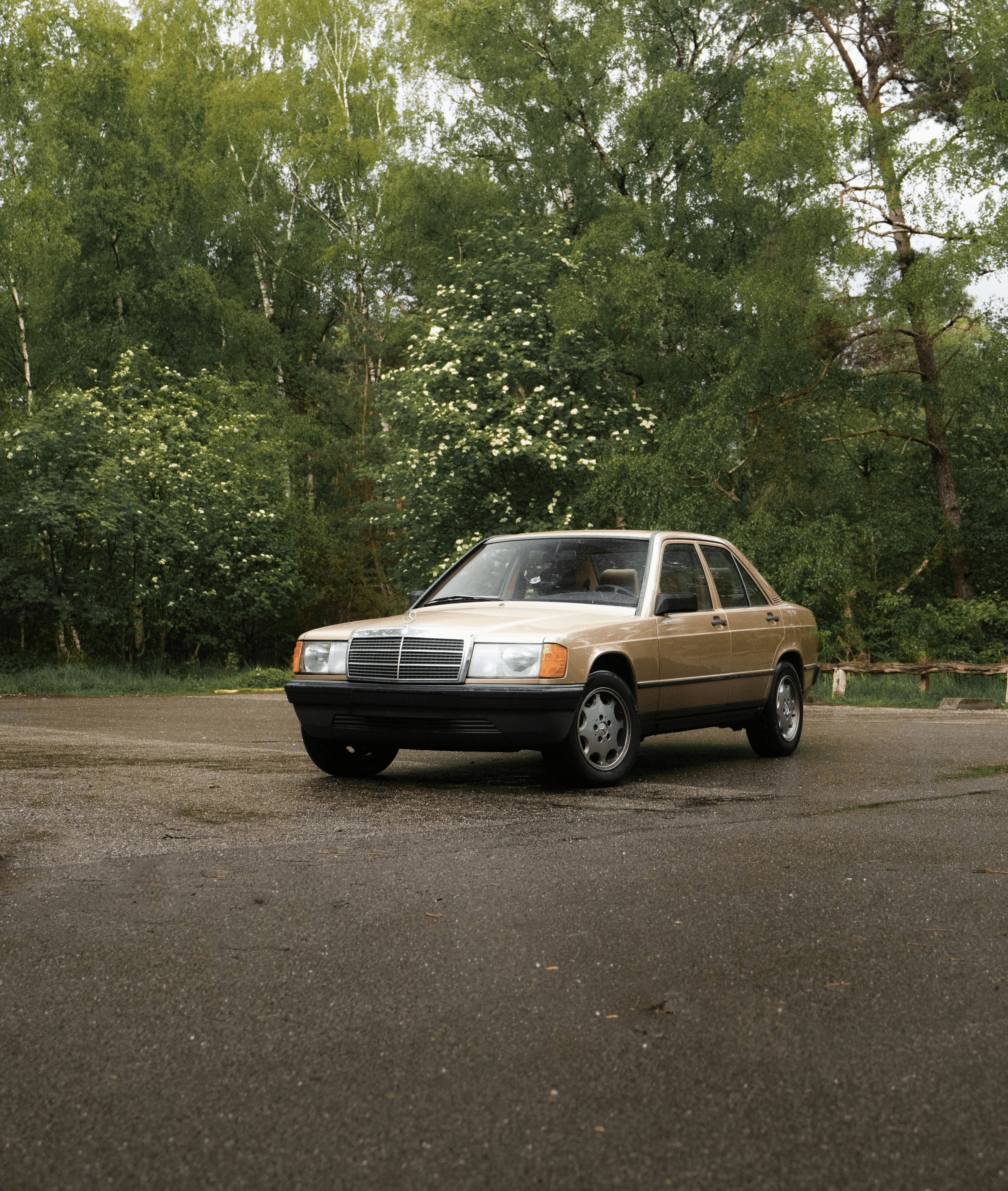 Gold classic sedan outdoors