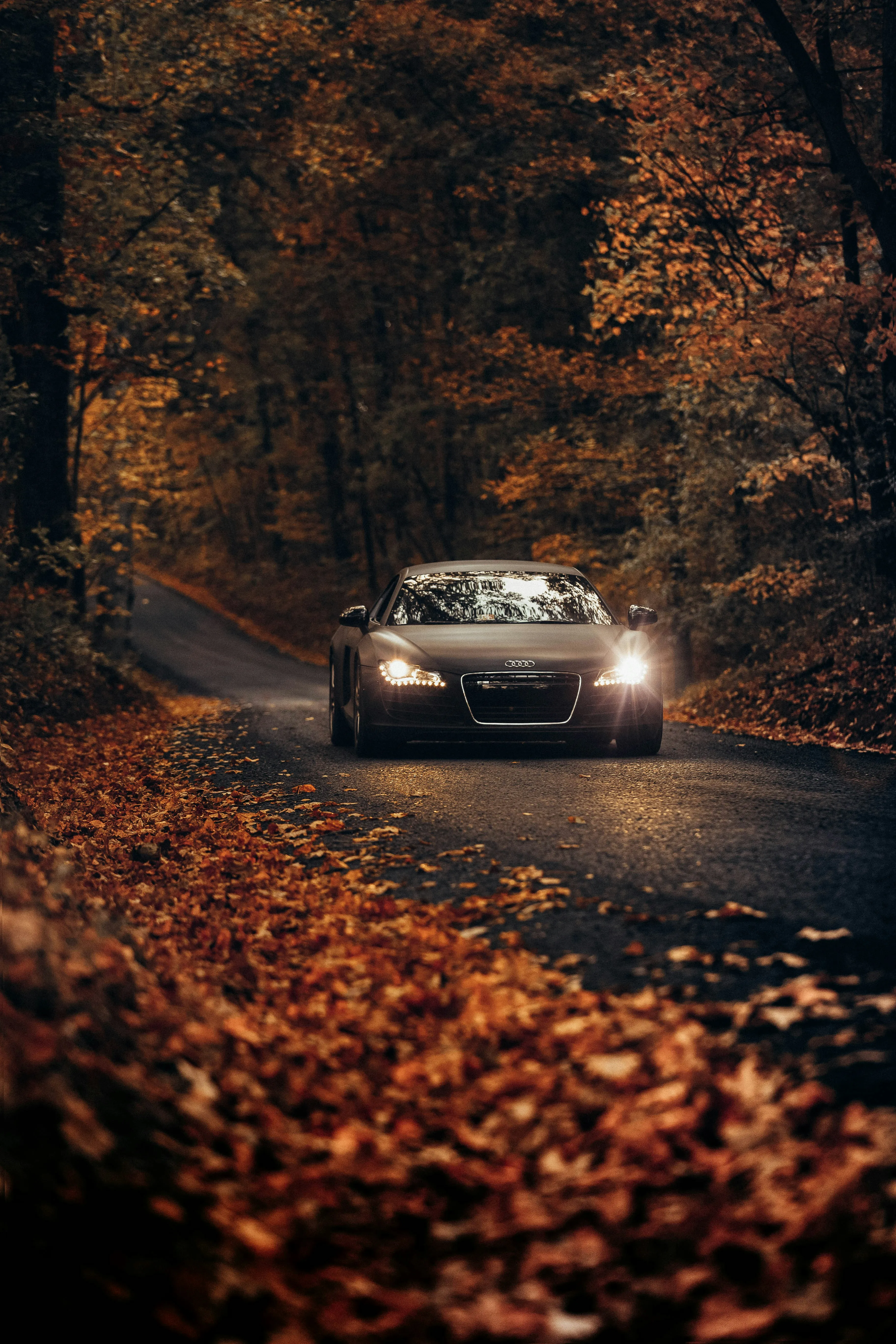 Grey car, autumn road